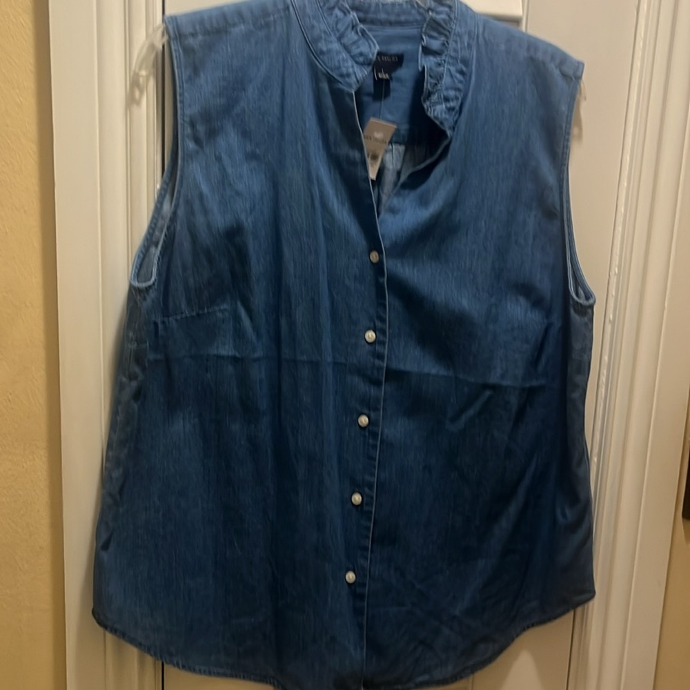 Ann Taylor L chambray Blue Sleeveless Button-Down Shirt - Picture 4 of 5
